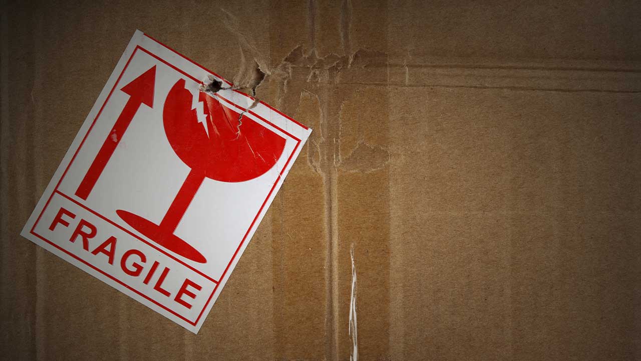 How To Avoid Damaged Freight: 7 Useful Tips